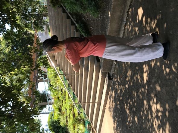 公園の木陰で